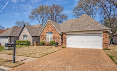 7190 Grapetree Trail, Cordova, TN 38018 - photo 4