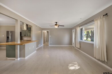 291 E Main St, van, TX 75790 - photo 4