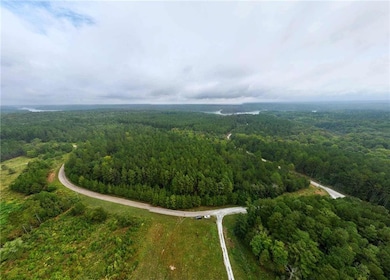 0 Jacks Hat Rd unit 7657227, Elberton, GA 30635 - photo 4