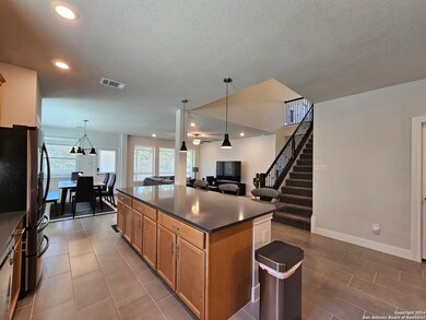 12012 Jones Ranch, San Antonio, TX 78254 - photo 4