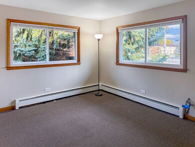 4614 Vernon Ave unit 4, Brookfield, IL 60513 - photo 5