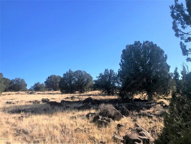 21 N Un Named Rd, Ash Fork, AZ 86320 - photo 3