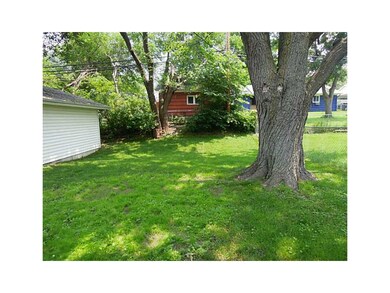 Yard. Cool shady partially fenced back yard