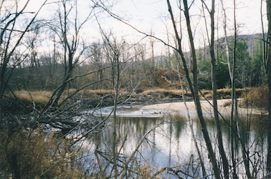 lot 8 E Andover Rd, Andover, ME 04216 - photo 2