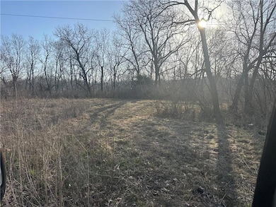 1023 S Scott Ave, Sugar Creek, MO 64054 - photo 3