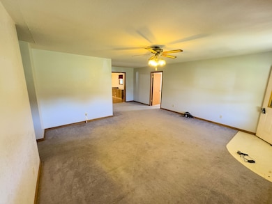 27234 Highway Z, Canton, MO 63435 - photo 6