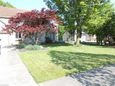 Beautiful front yard!