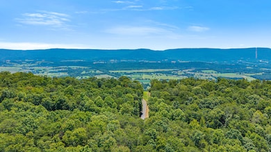 18.69 Ac Windridge Dr, Dunlap, TN 37327 - photo 5