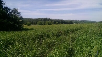 Old Niles Ferry lots (6)