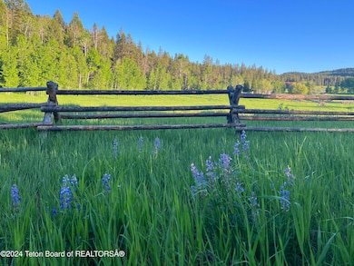 Buckrail fence