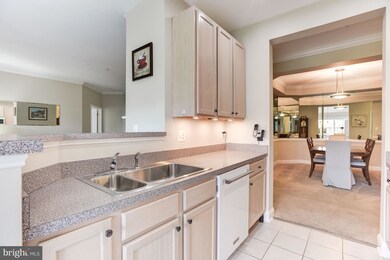 2111 Ganton Green unit 311, Woodstock, MD 21163 - photo 7