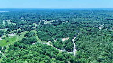 80 AC N 3655 Rd, Sasakwa, OK 74867 - photo 4