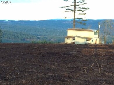 3494 Crooked Finger Rd NE, Scotts Mills, OR 97375 - photo 6