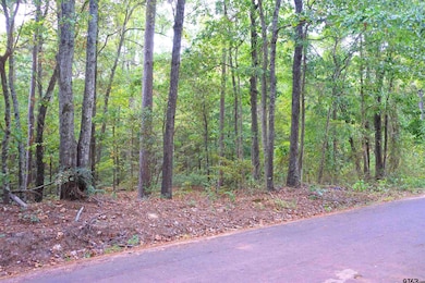 TBD Bob o Link Rd, Gilmer, TX 75645 - photo 6