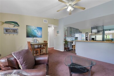 Ideal For Seasonal SWFL Living