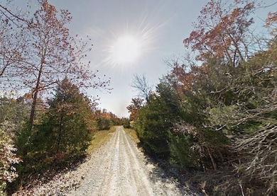 6854+VFP Horseshoe Bend unit Arkansas AR USA, Horseshoe Bend, AR 72512 - photo 6