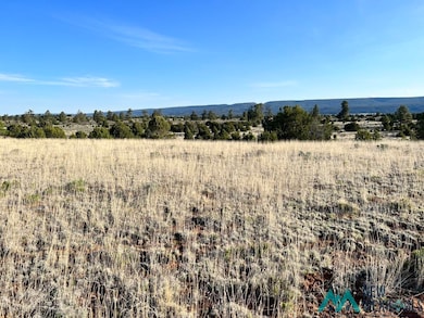 000 Ice Caves Rd, Grants, NM 87020 - photo 4