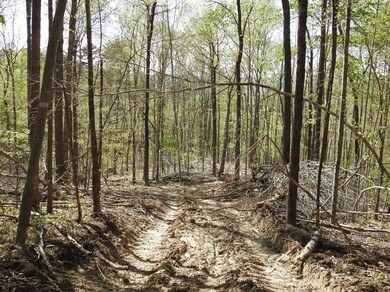 821 Ben Baker Rd, Somerset, KY 42501 - photo 4