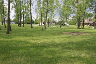 IMG_0377