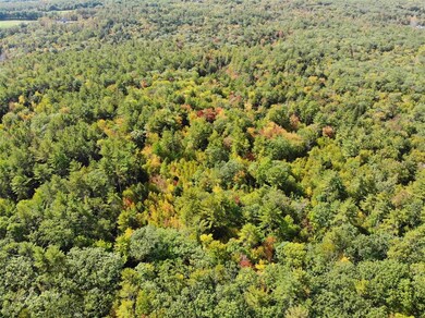 000 Baptist Hill Rd unit 2, Canterbury, NH 03224 - photo 4