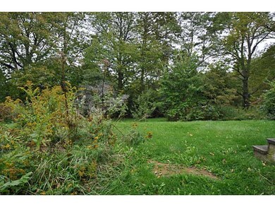 Yard/Garden.