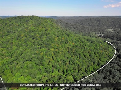 unlisted-address, Jacksonburg, WV 26377 - photo 3