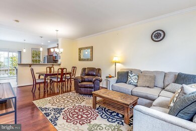 25141 Shultz Terrace, Chantilly, VA 20152 - photo 3