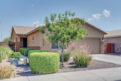 1446 W Crape Rd, San Tan Valley, AZ 85140 - photo 3