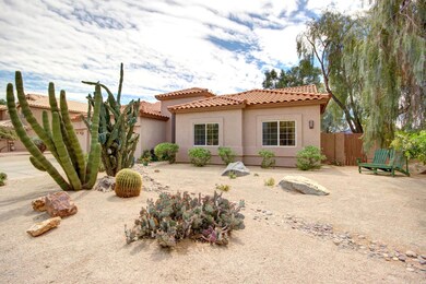 Desert Front Yard