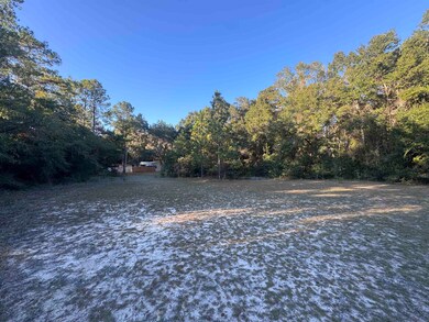 153 Davidson St, Quincy, FL 32351 - photo 6