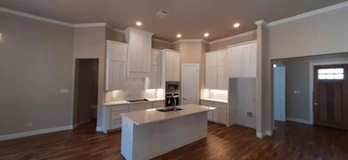 3012 Greg Allen Dr, Weatherford, TX 76088 - photo 6