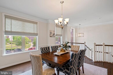 25033 Cambridge Hill Terrace, Chantilly, VA 20152 - photo 4