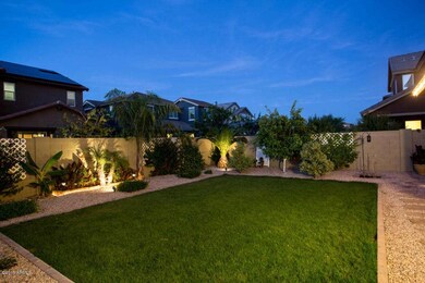 Twilight_Backyard.jpg
