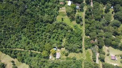 8081 La Hwy 961, Clinton, LA 70722 - photo 2