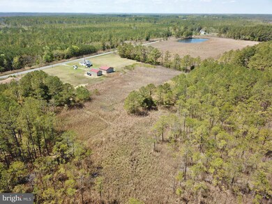 2432 Andrews Rd, Crapo, MD 21626 - photo 5