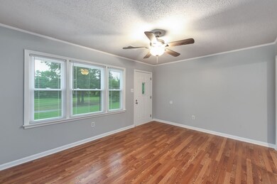 274 Spring Hill Rd, Stanton, TN 38069 - photo 5