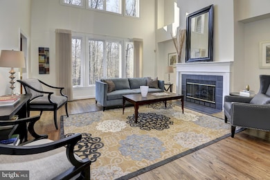 11303 Bright Pond Ln, Reston, VA 20194 - photo 2