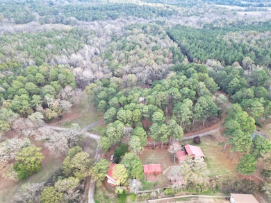 223 Southlake Rd, Saratoga, AR 71859 - photo 6