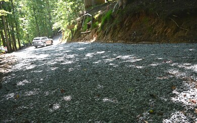 Additional View