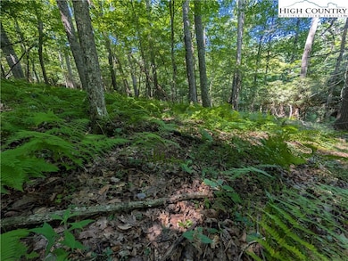 Tbd Sharon Sweeney Rd, Crumpler, NC 28617 - photo 2