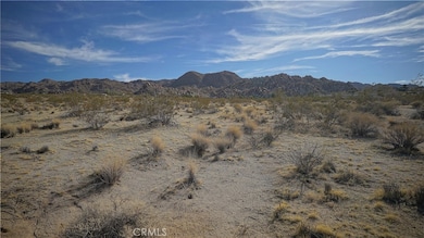 6919 Sierra Ave, Joshua Tree, CA 92252 - photo 2