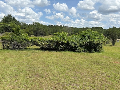 4497 Simmons Dairy Rd, Blakely, GA 39823 - photo 7