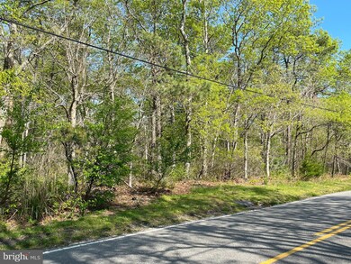 0 Stafford Forge Rd unit NJOC2010096, West Creek, NJ 08092 - photo 2