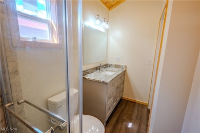 Bathroom with vanity, dark wood-style floors, and a shower stall