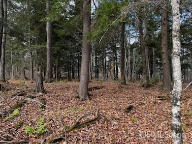 TBD OFF Skanee Rd, Skanee, MI 49962 - photo 6