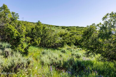 926 S Upland Loop unit 20, Midway, UT 84049 - photo 7