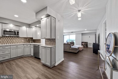 Lakeside Plaza Condominium unit 1129, Baileys Crossroads, VA 22041 - photo 3