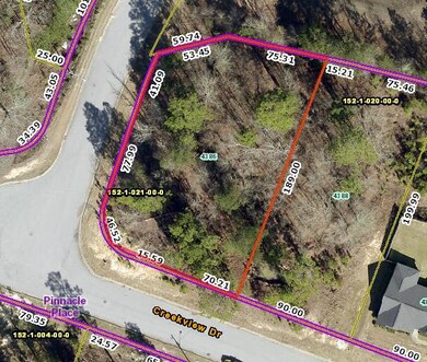Arial View before clearing