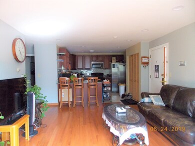 18 Glencoe St unit 30, Brighton, MA 02135 - photo 4