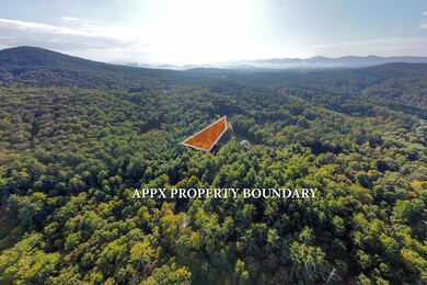 TBD Alex Way, Morganton, GA 30560 - photo 5